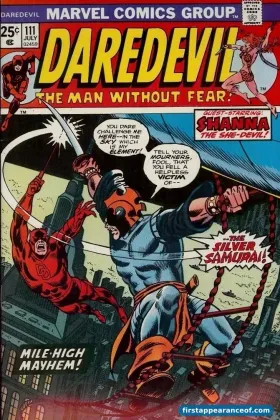 Daredevil #111 (1974). Silver Samurai is on the cover with his tachi sword raised, fighting Daredevil and Black Widow.